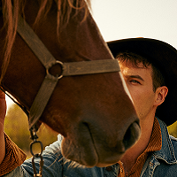Man and horse