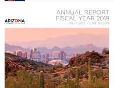 FY19 annual report website thumbnail