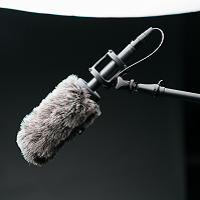 microphone